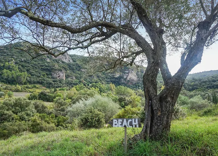 2 Bedroom Cozy Home In Roquebrun
